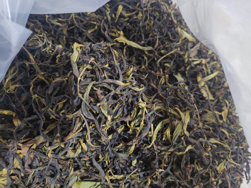 凤凰单丛茶（春茶）毛茶