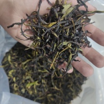 凤凰单丛茶（春茶）毛茶