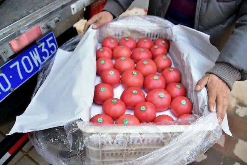 一件10万贴专业定制高端精品水果标签，设计新颖印刷完美