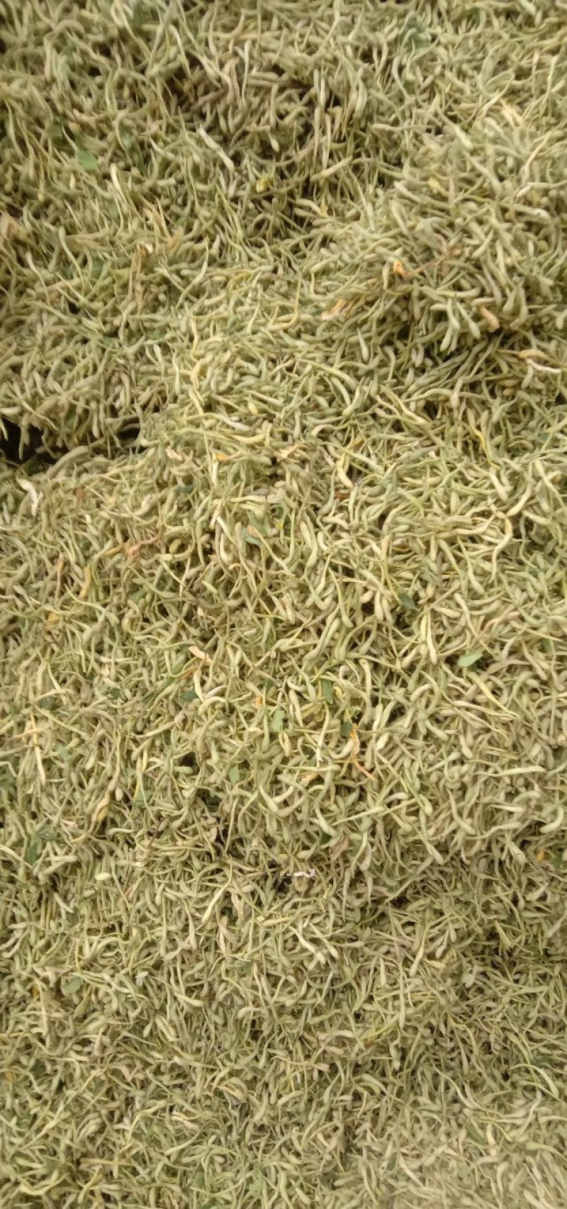 金银花，四级花，北花一号，