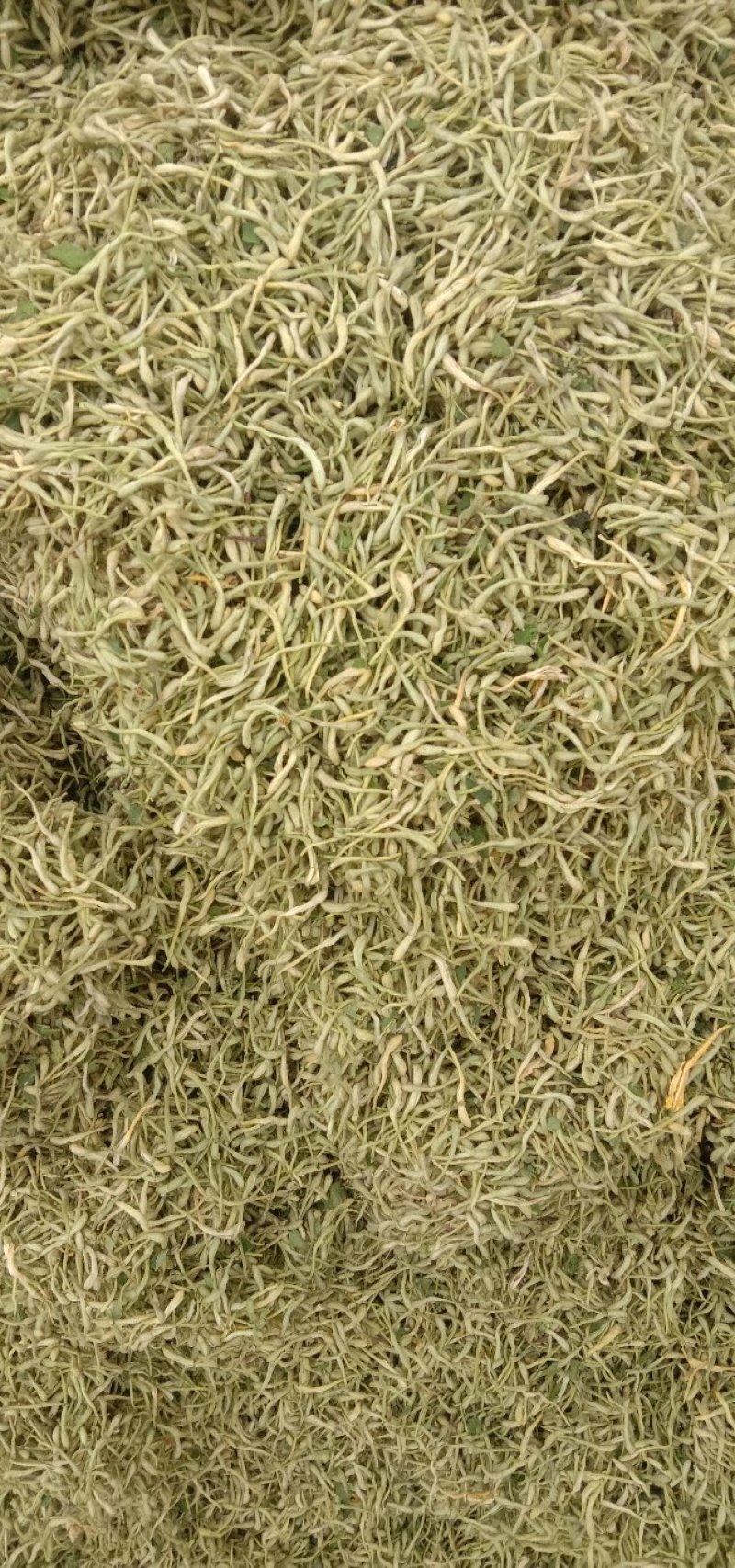 金银花，四级花，北花一号，