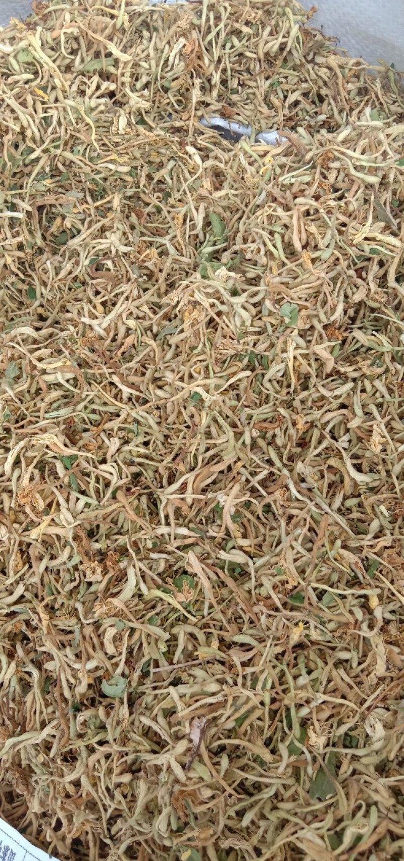 金银花，四级花，北花一号，