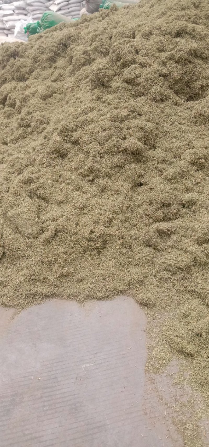 金银花，四级花，北花一号，