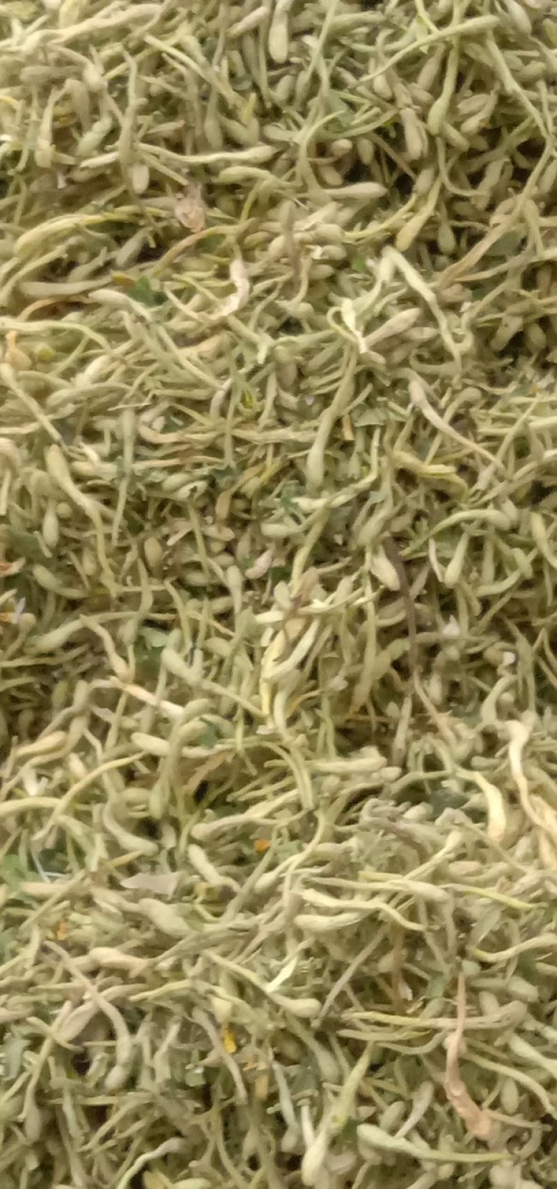 金银花，四级花，北花一号，