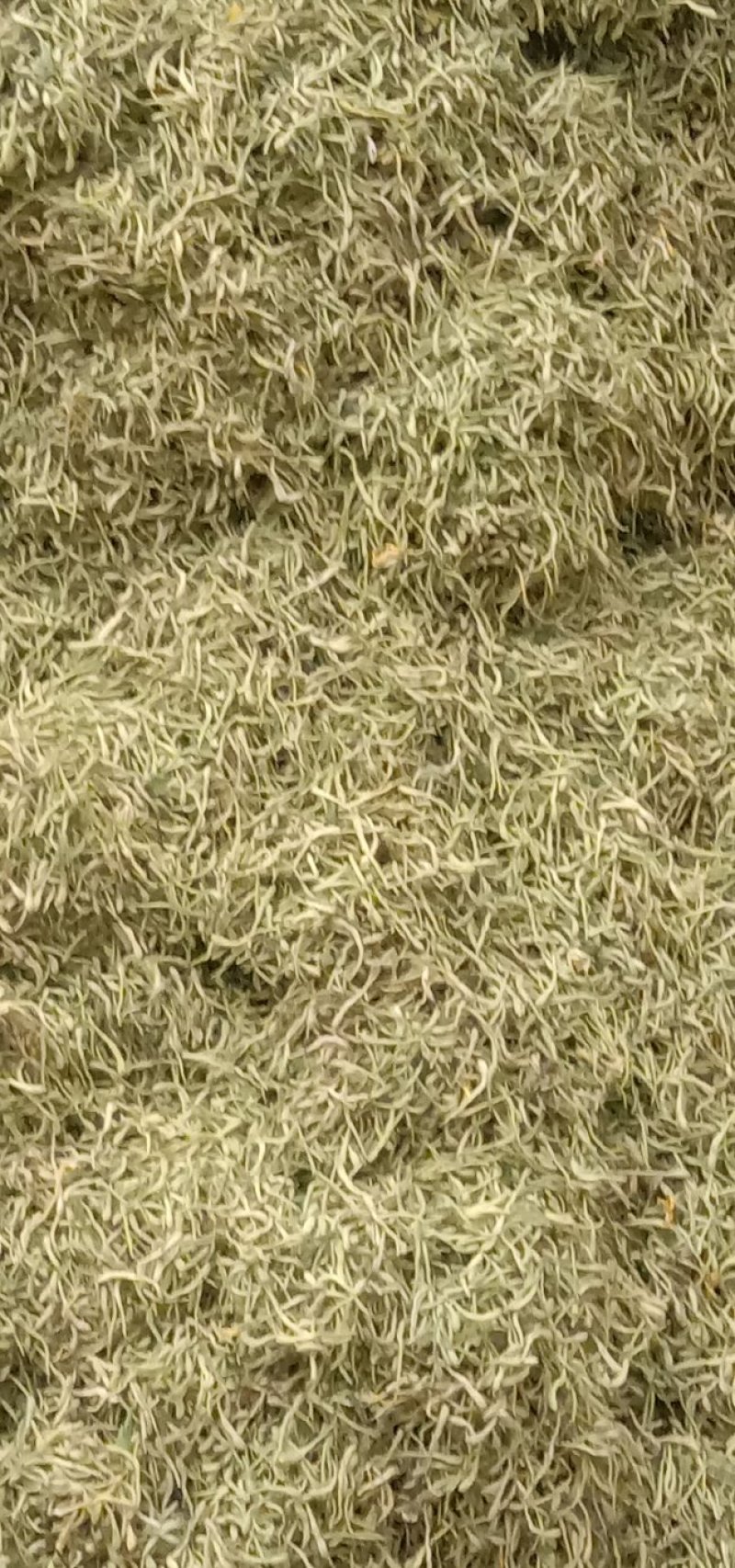 金银花，四级花，北花一号，