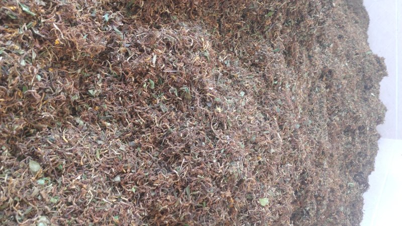 野生金银花,夏天凉茶必选
