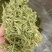 批发新货金银花，双花