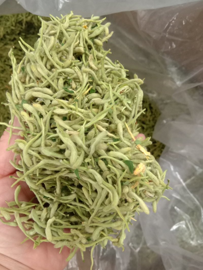 批发新货金银花，双花