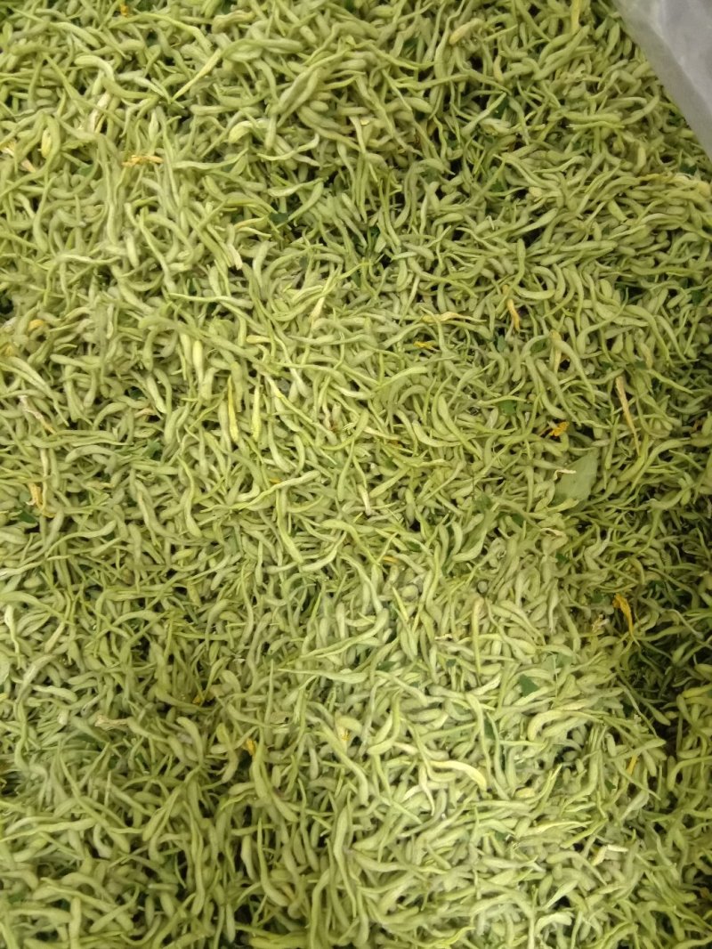 批发新货金银花，双花