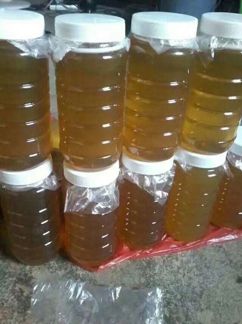 蜂蜜，西双版纳的野生蜂蜜