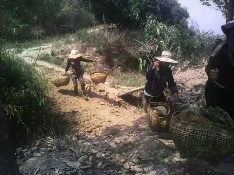 蜂蜜，西双版纳的野生蜂蜜