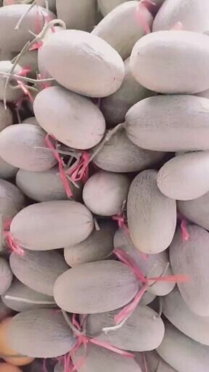 晓蜜，胶蜜25.玫珑，珑蜜，西州蜜哈密瓜，各品种香瓜甜瓜
