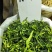 干菜黄瓜条～原色原味！脱水烘干！口感鲜香