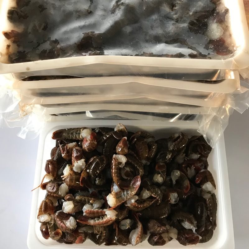 新鲜虾尾现剥活虾货源稳定寻找优质客户，可长期合作