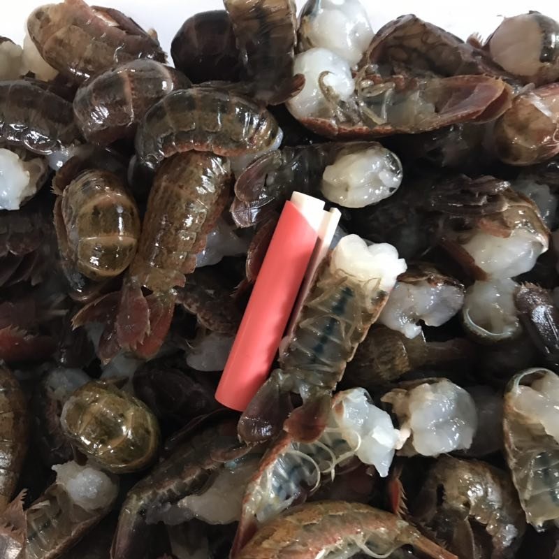 新鲜虾尾现剥活虾货源稳定寻找优质客户，可长期合作