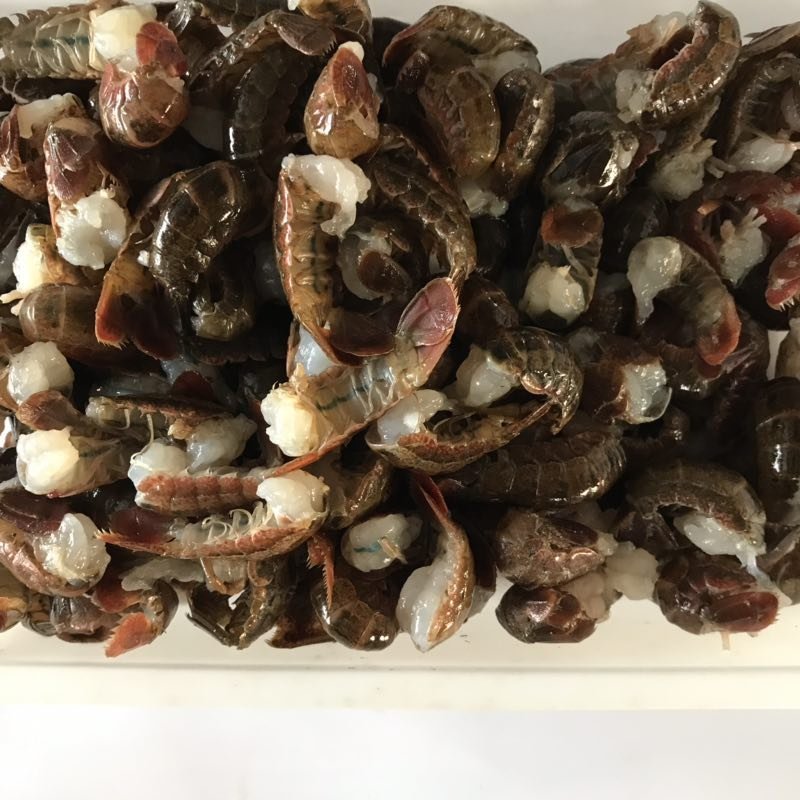 新鲜虾尾现剥活虾货源稳定寻找优质客户，可长期合作