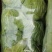 精品袋装甘蓝，大量供应，欢迎下单，诚信经营