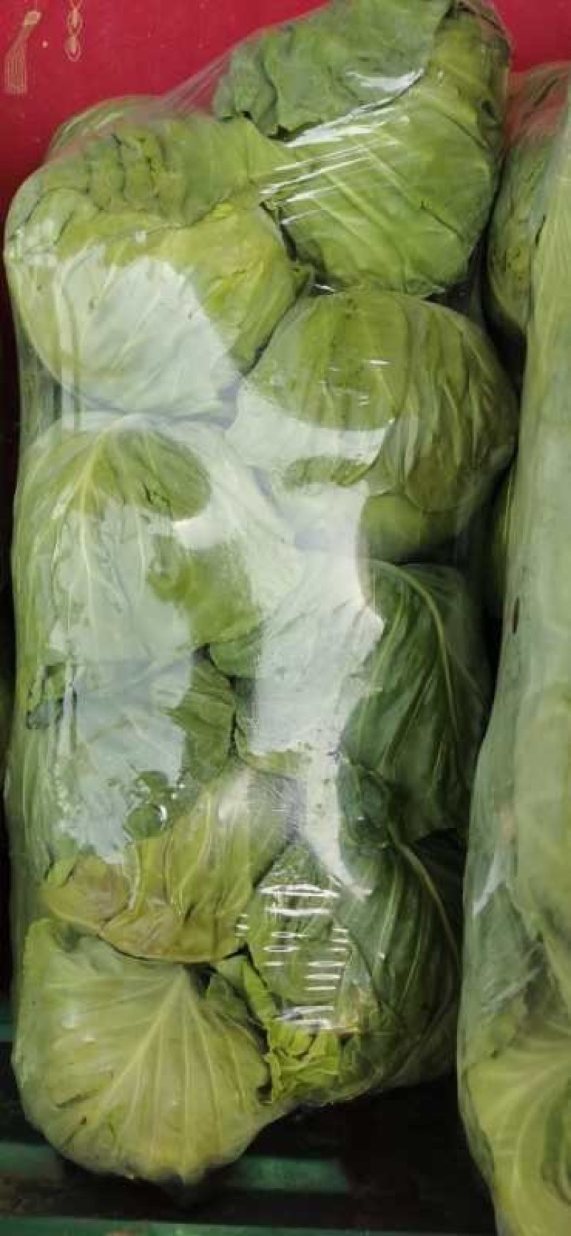 精品袋装甘蓝，大量供应，欢迎下单，诚信经营