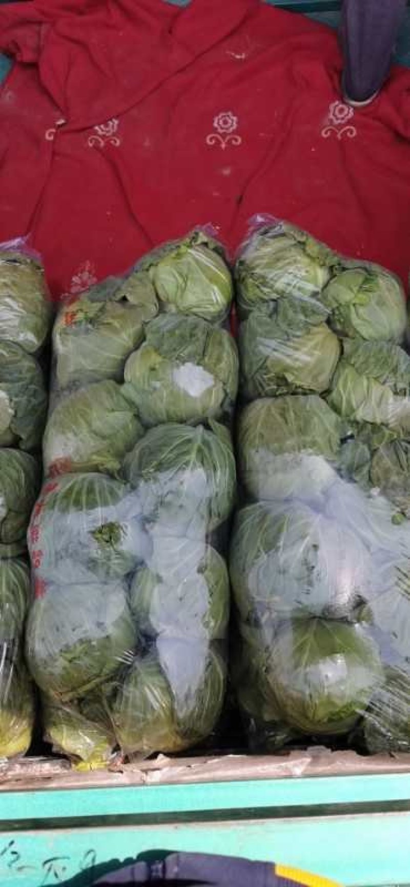 精品袋装甘蓝，大量供应，欢迎下单，诚信经营