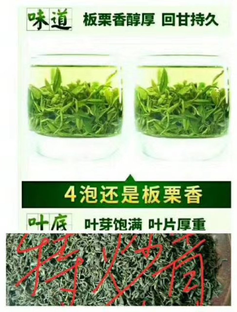 陕西省汉中市西乡炒青，特炒