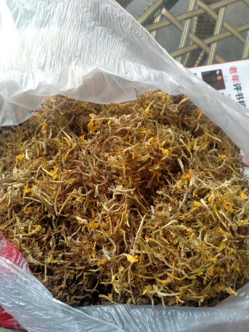 金银花，野生金银花！