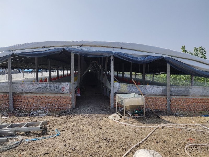 【欢迎咨询】家禽养殖大棚各地专业养殖大棚建设物美价廉