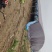 【欢迎咨询】家禽养殖大棚各地专业养殖大棚建设物美价廉
