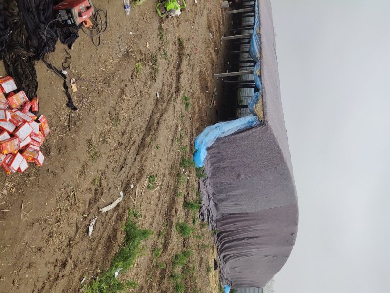 【欢迎咨询】家禽养殖大棚各地专业养殖大棚建设物美价廉