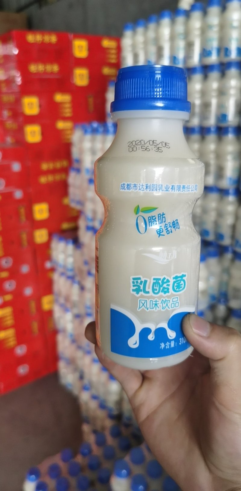 成都达利园乳酸菌批发成都批发跑江湖地摊一手货源