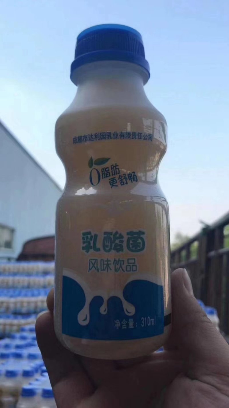 成都达利园乳酸菌批发成都批发跑江湖地摊一手货源