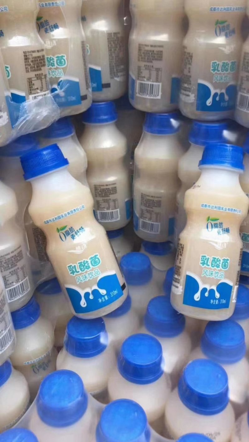 成都达利园乳酸菌批发成都批发跑江湖地摊一手货源