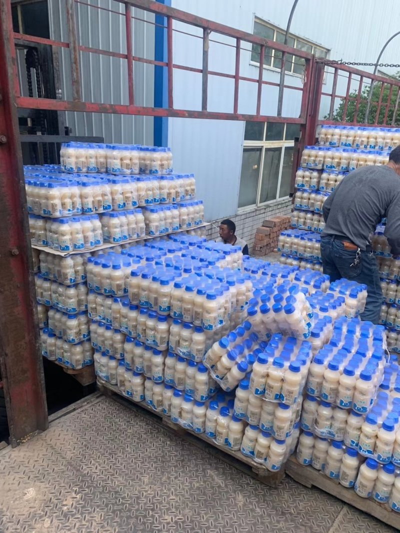 成都达利园乳酸菌批发成都批发跑江湖地摊一手货源