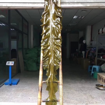 海带皮干海带大连海带山东海带福建水产干货海带批发