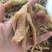 天麻，昭通小小草坝天麻，湖北麻，包邮，可视频看货