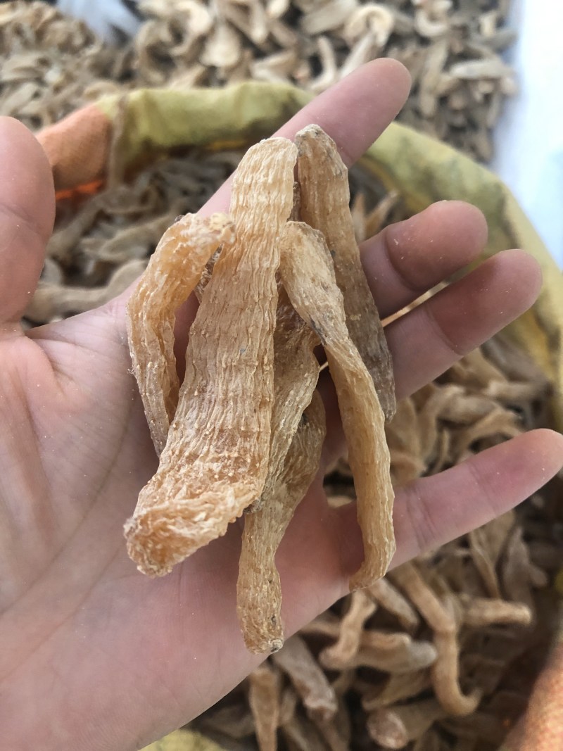 天麻，昭通小小草坝天麻，湖北麻，包邮，可视频看货
