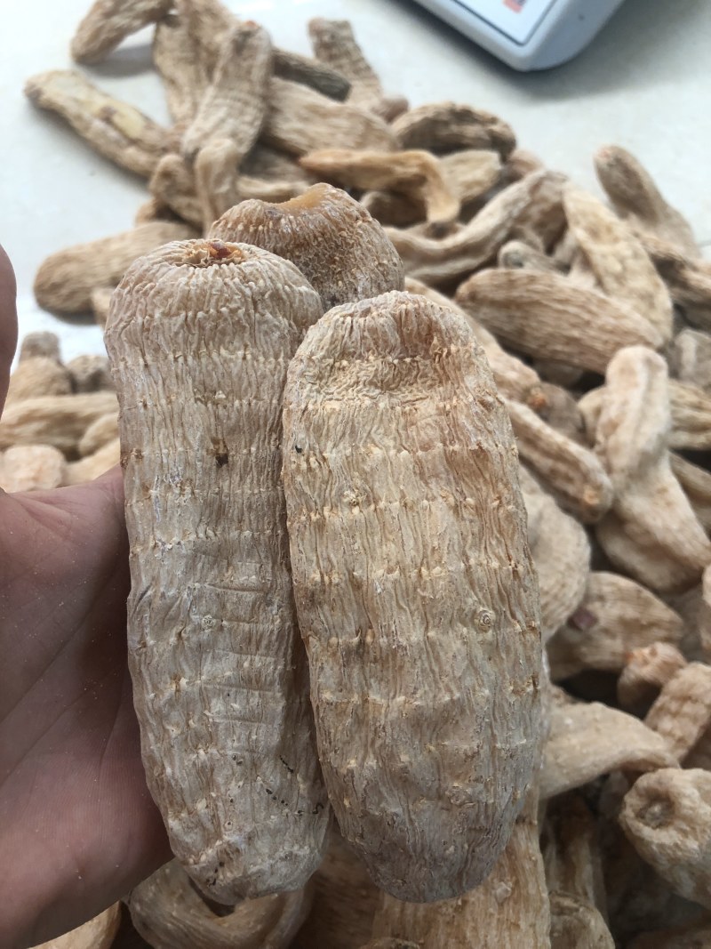 天麻，昭通小小草坝天麻，湖北麻，包邮，可视频看货
