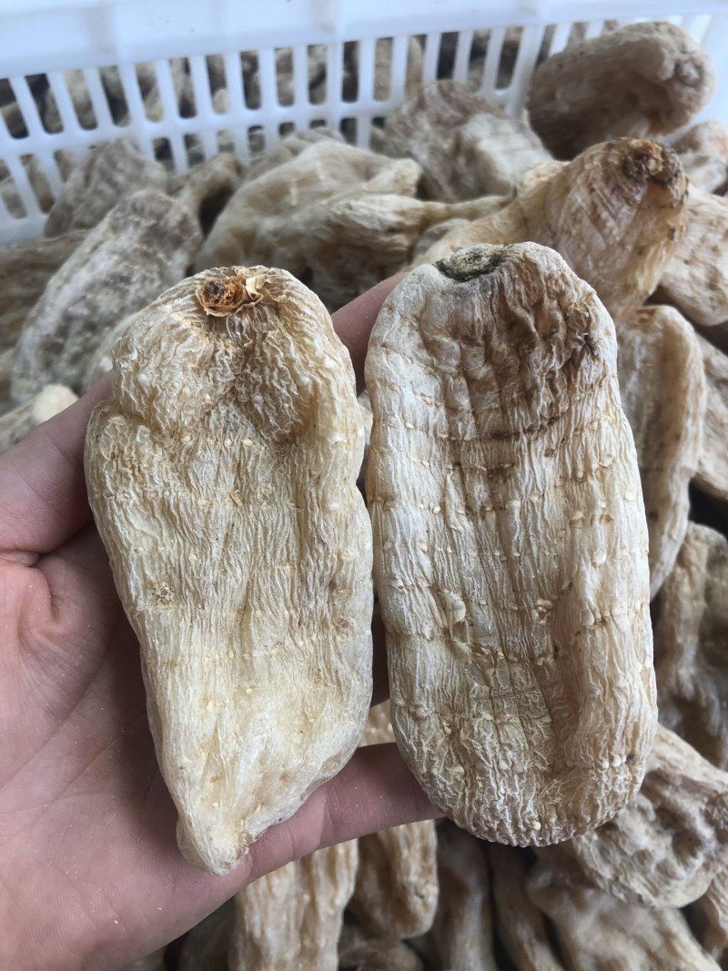 天麻，昭通小小草坝天麻，湖北麻，包邮，可视频看货