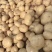 精品土豆沃土，实验一，泰和六基地直供超市市场
