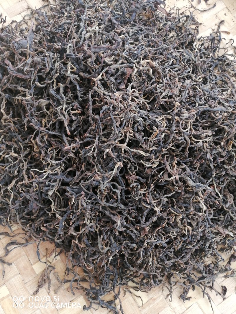 古树茶叶