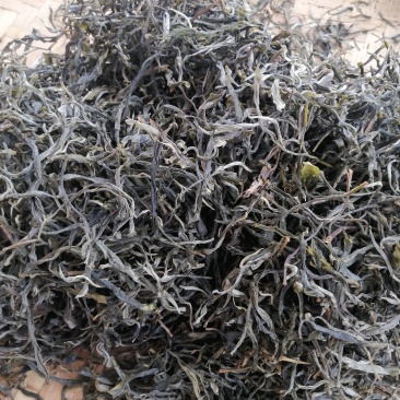 古树茶叶
