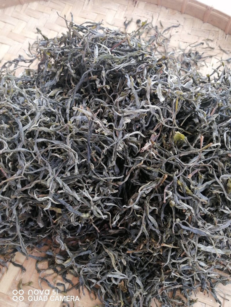 古树茶叶