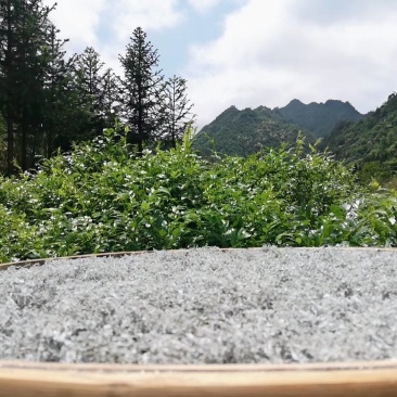 莓茶
