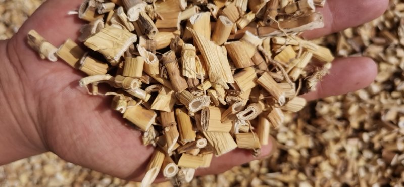 芦根产地直供大量批发零售