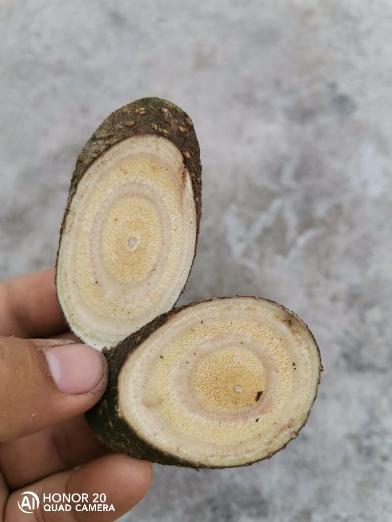 土甘草，产地广西可以大量批发