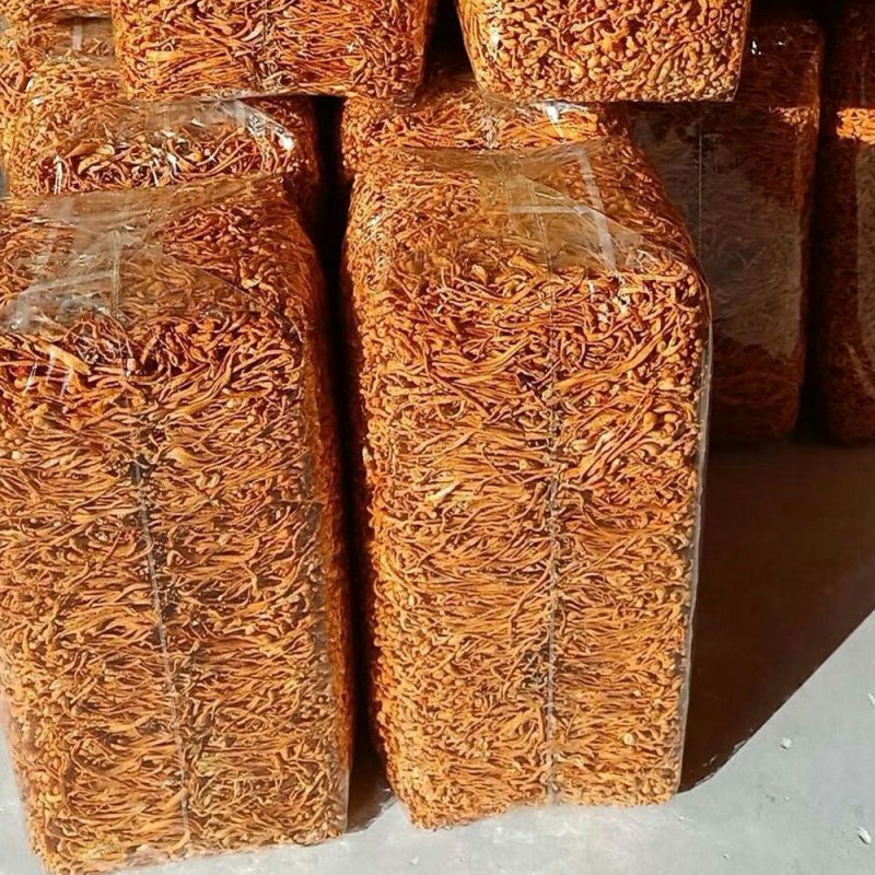虫草花虫草蕊花排草各式滋补药品【一手货源】批发及零售