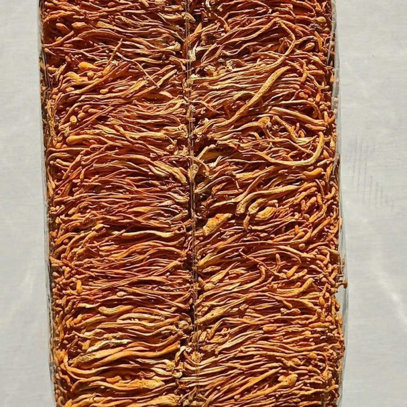 虫草花虫草蕊花排草各式滋补药品【一手货源】批发及零售