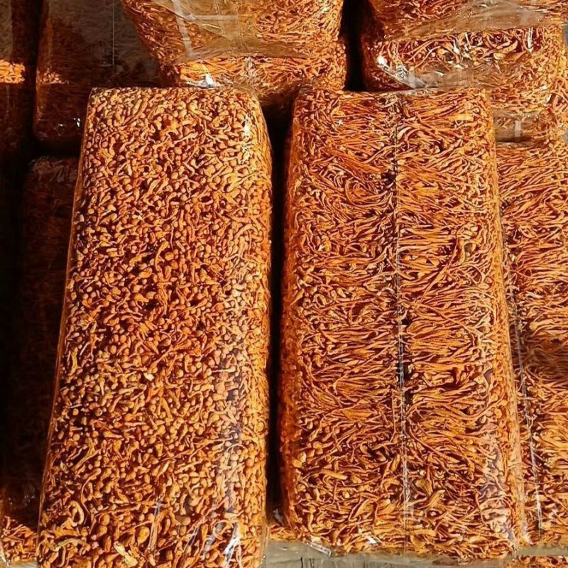 虫草花虫草蕊花排草各式滋补药品【一手货源】批发及零售