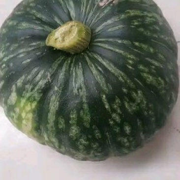 南瓜
