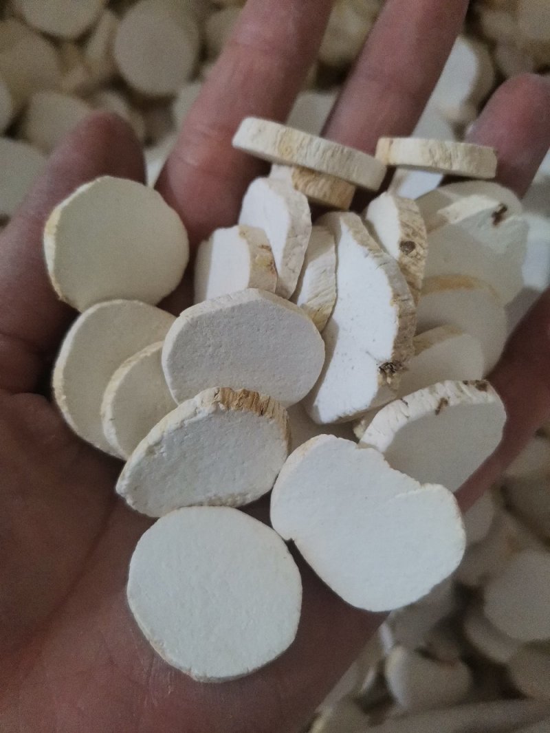 广山药质量保证大量批发零售