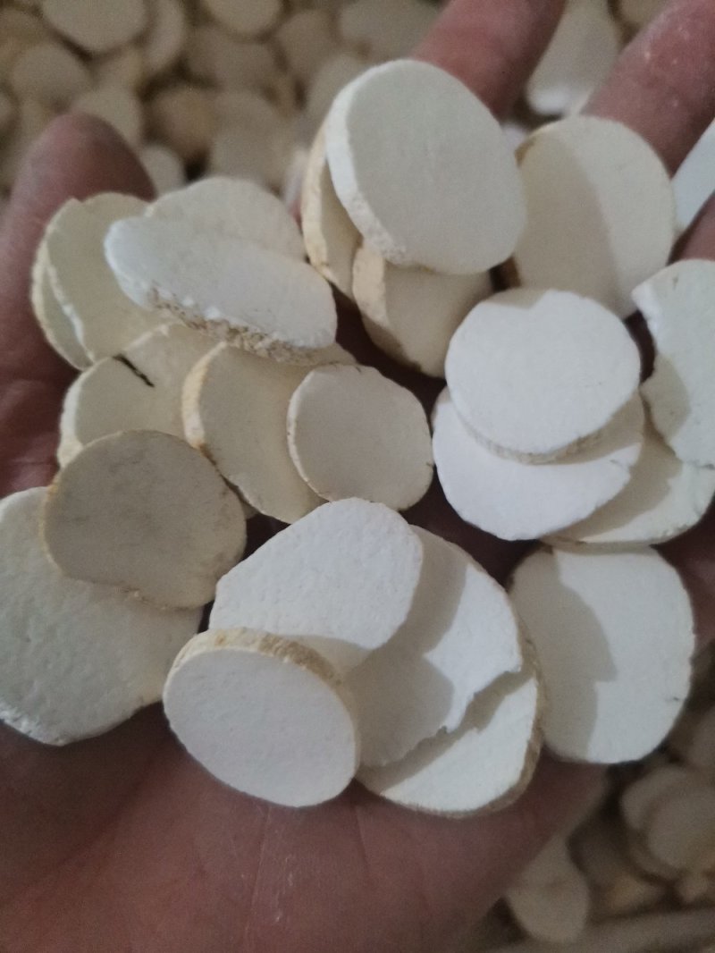 广山药质量保证大量批发零售